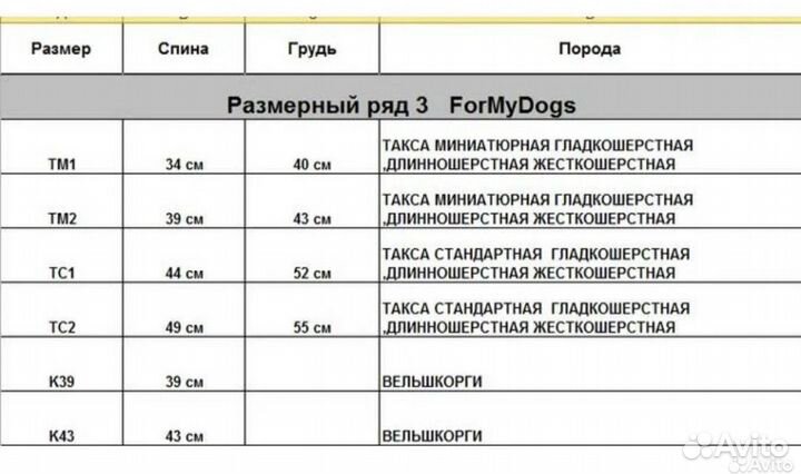 Одежда для собак ForMyDogs такса мальчик