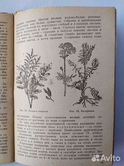 Книга 1942 год