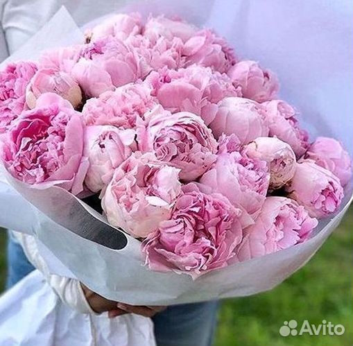 Пионы Цветы Доставка