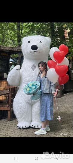 Поздравление ростовая кукла белый медведь 