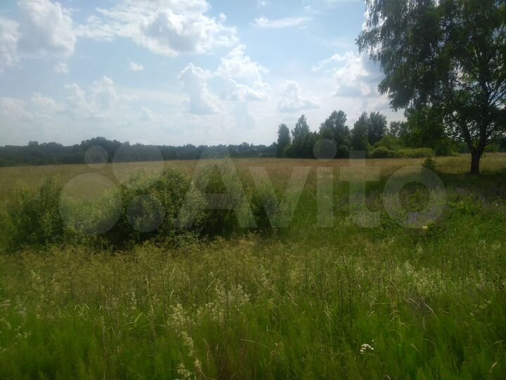 Участок 6,1 га (ИЖС)