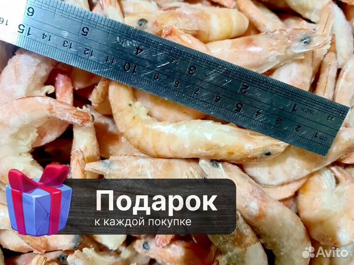 Креветки опт, 10 кг
