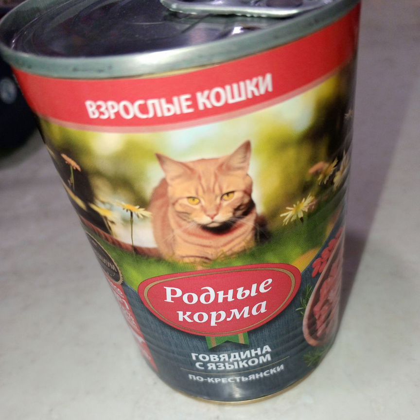 Корм для кошек