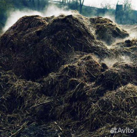 Доставка навоза перегноя