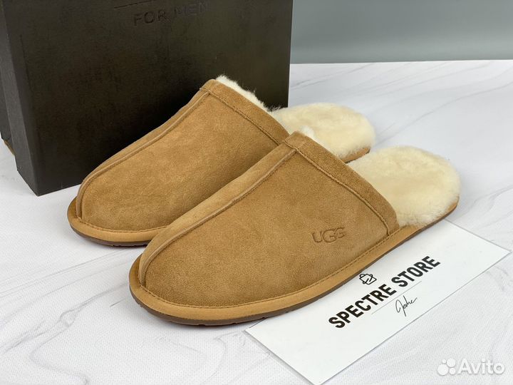 Тапочки мужские UGG