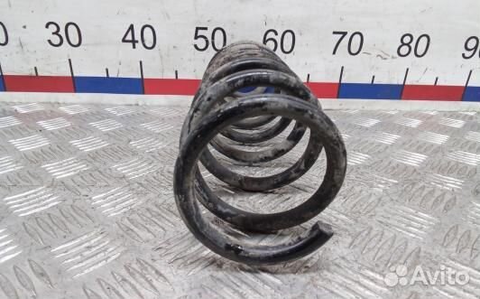 Пружина задняя renault scenic 3 (SBR15LY02)