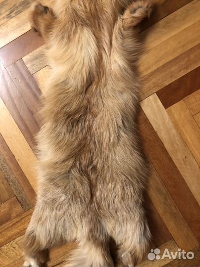 Шкурка лисы