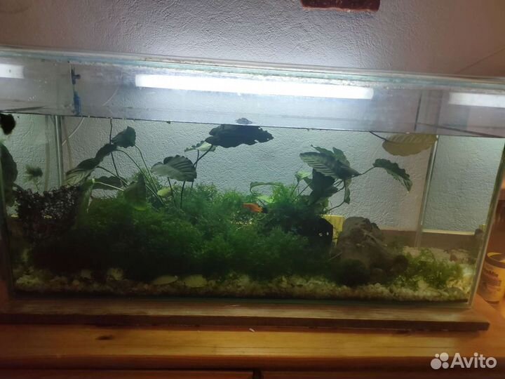 Аквариум в сборе