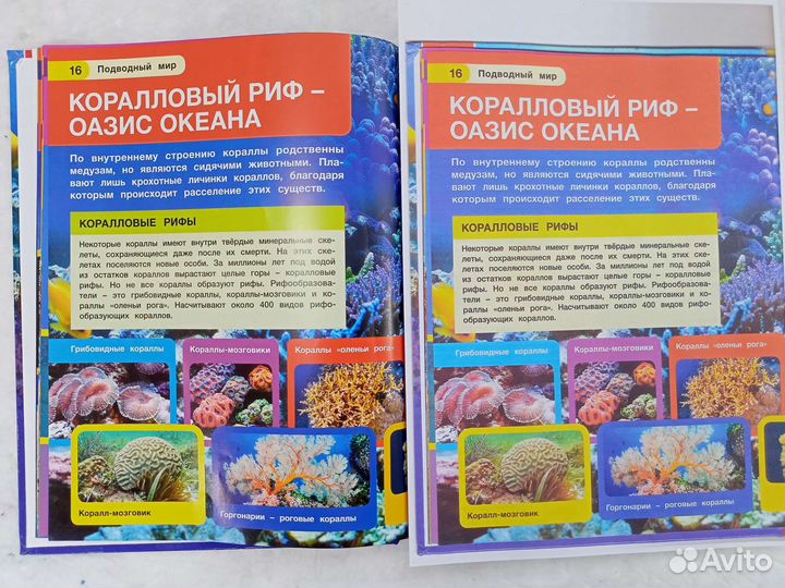 Принтер цветной