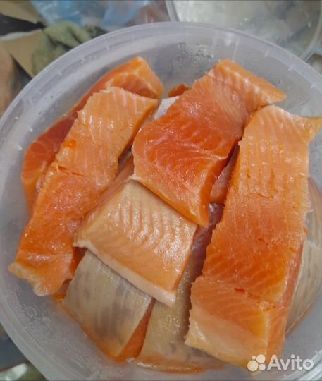 Рыбный магазин в солнечном