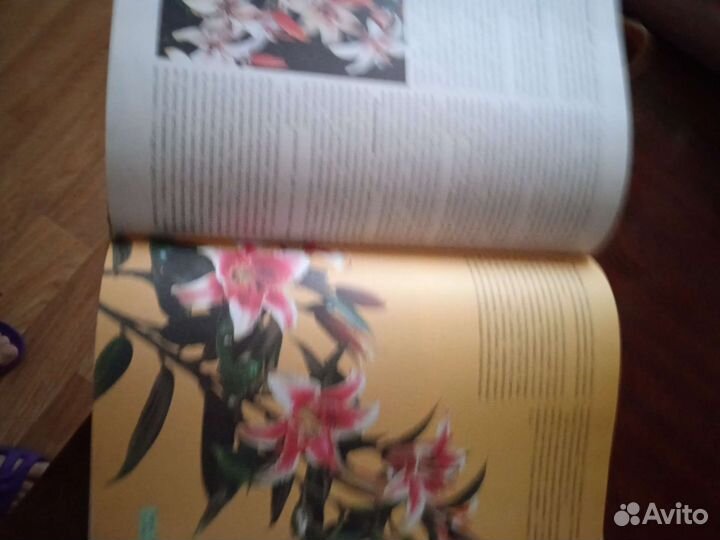 Книга,луковичные