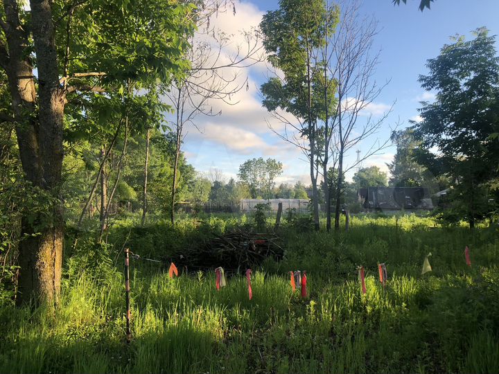 Участок 1,23 га (ИЖС)