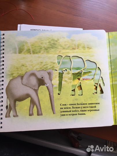 Книга-трафарет