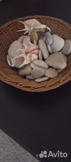 Морские ракушки и камни