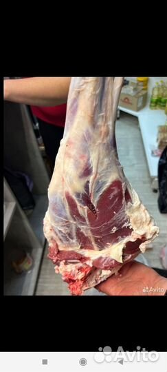 Молоко коровье домашнее