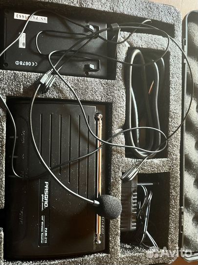 Радиосистема pasgao PAW210