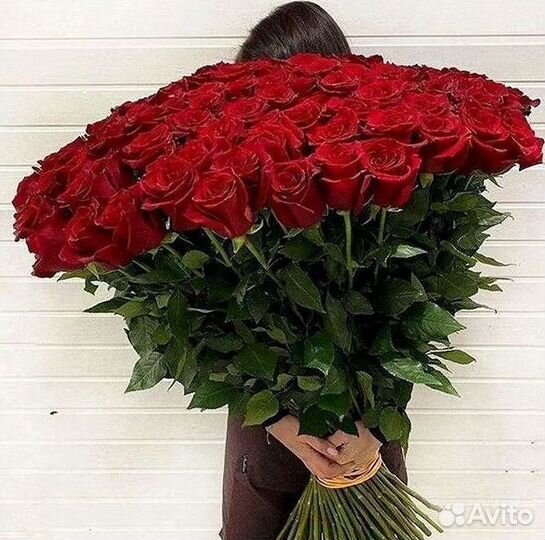 Розы гиганты 140 150 160 170 180 200