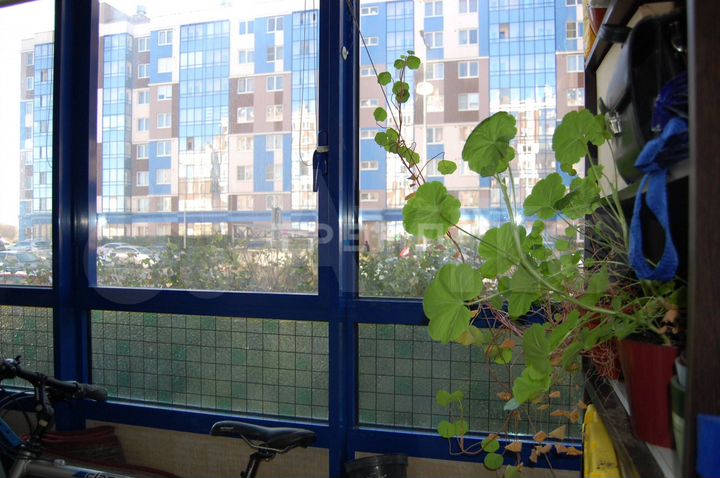 1-к. квартира, 38,1 м², 1/8 эт.