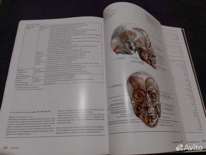 Книга Готтфрид Баммес Образ человека Цветная 2012