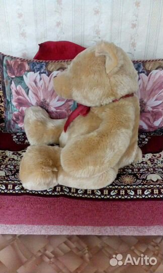 Большой медведь