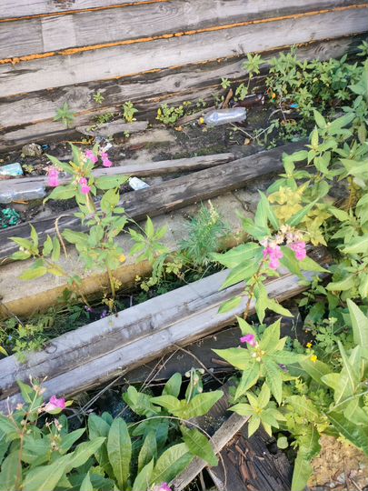 Машиноместо, 19 м²