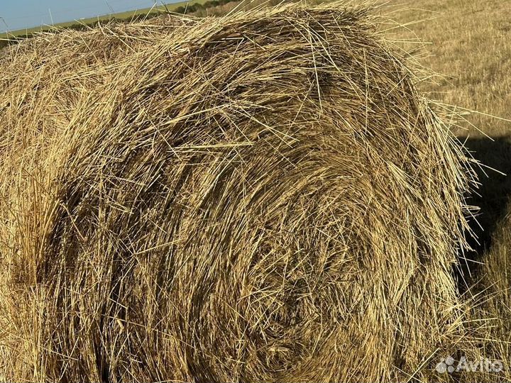 Продажа сена с доставкой