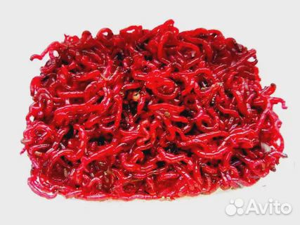 Червь,мотыль,опарыш,черви