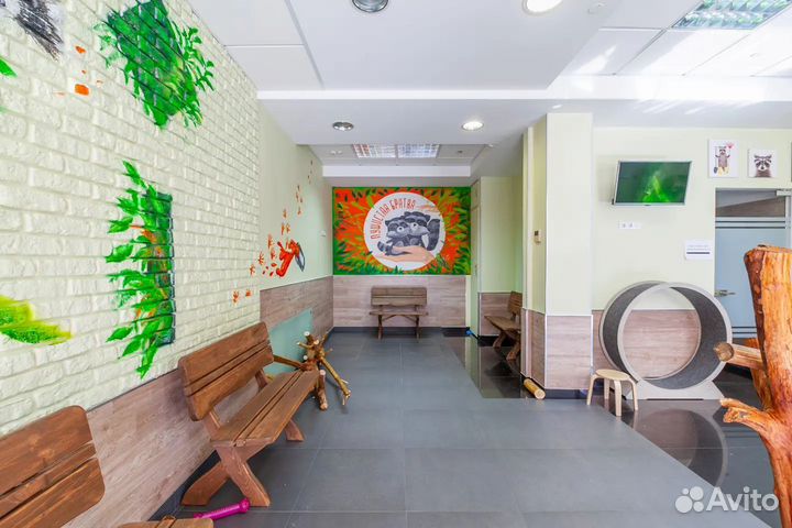 Роспись стен и витрин