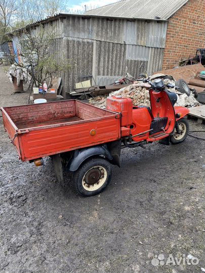 Муравей тмз-5