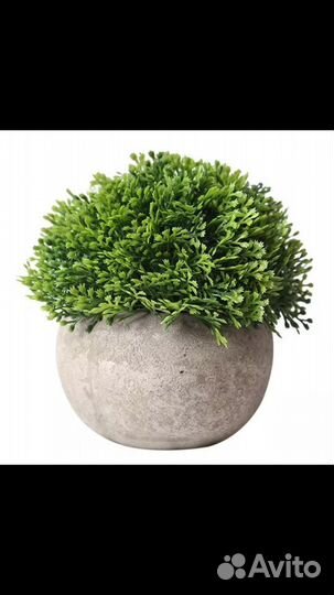 Предметы интерьера, Дизайнерские цветы в горшочке