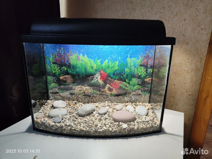 Аквариум