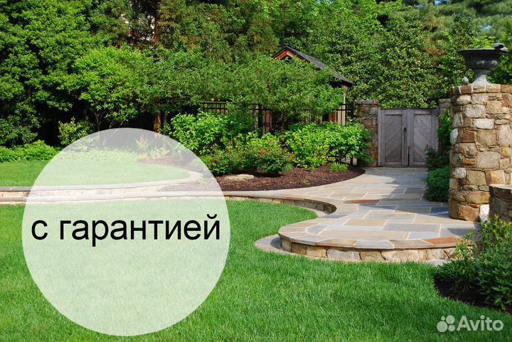 Изумрудный рулонный газон для вас в Можайск