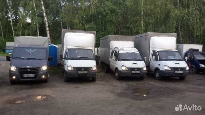 Водитель на газель бизнес, газель, газель некст