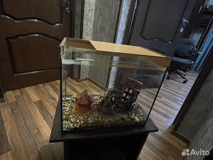 Аквариум для рыб