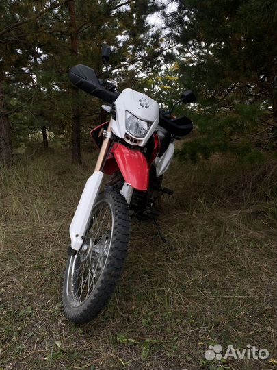 Ирбис ттр 250R