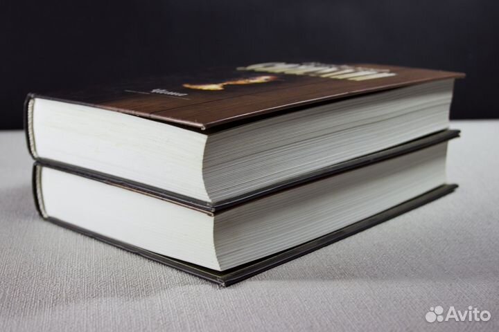 Владимир Солоухин - Чаша, Последняя ступень