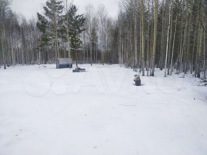 Участок 10 сот. (СНТ, ДНП)