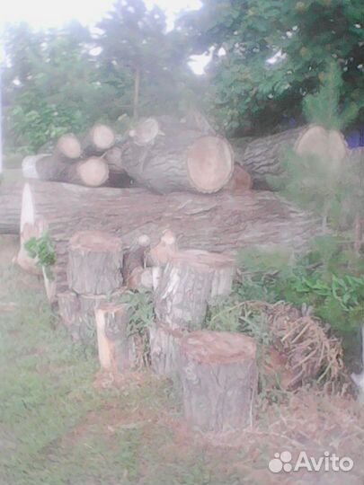 Деревянные спилы, и слэбы из вяза