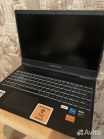 Игровой ноутбук thunderobot