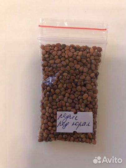 Семена для микрозелени