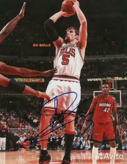 Джерси NBA Adidas Chicago Bulls, Nocioni #5