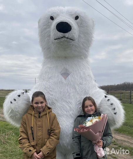 Белый мишка поздравления