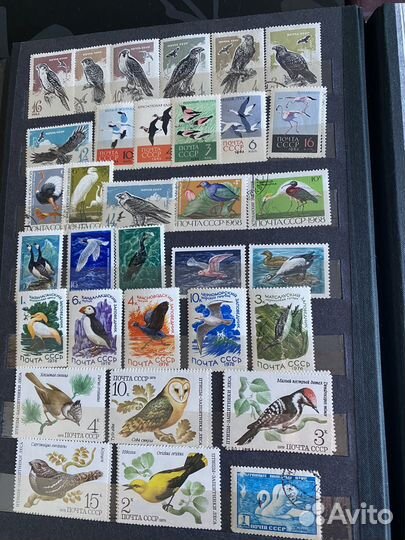 Альбом с марками