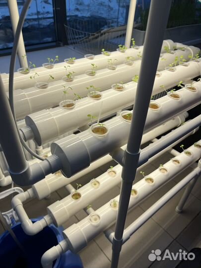 Установка для выращивания зелени и овощей