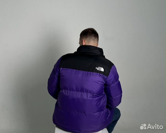 Демисезонная куртка The North Face 700