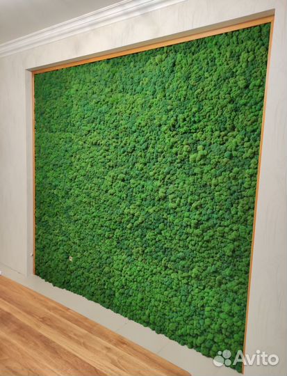 Панно. Декор. Стабилизированный мох