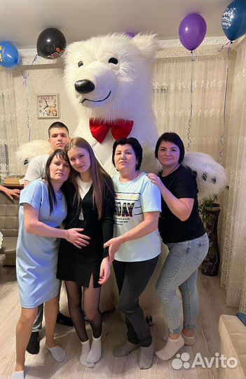 Праздники мероприятия белого медведя