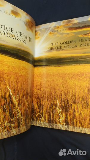 Книги о Саратове