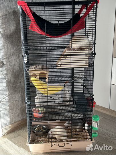 Клетка для грызунов большая