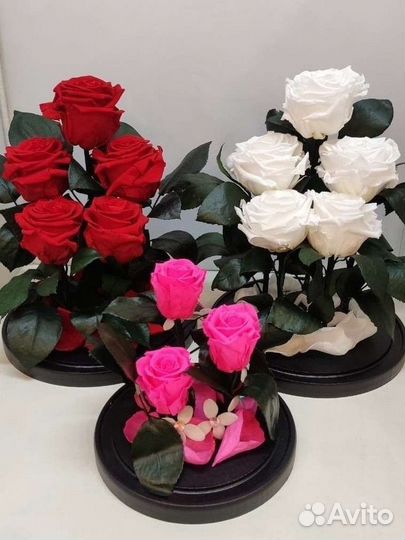 Подарок на новый год / Роза в колбе